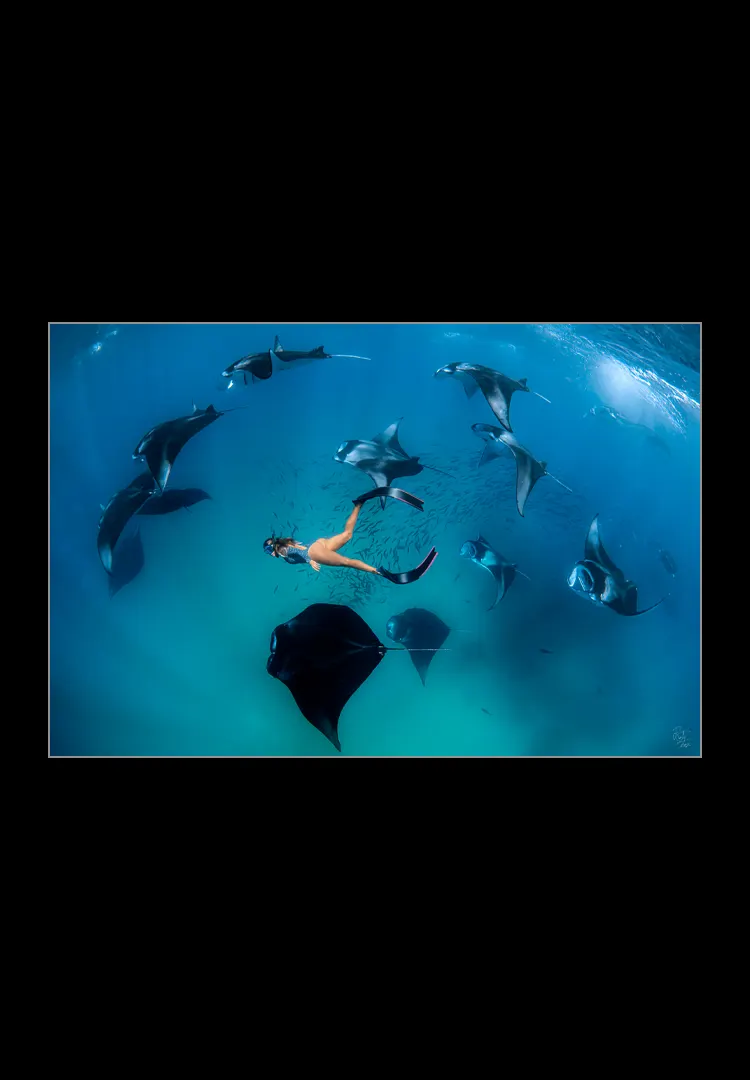 Hanifaru.webp Hanifaru - Imagen 1