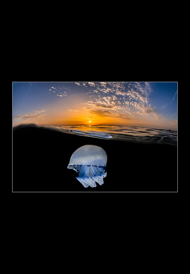 Mar-Menor-Sunset.webp Mar Menor sunset - Imagen 1