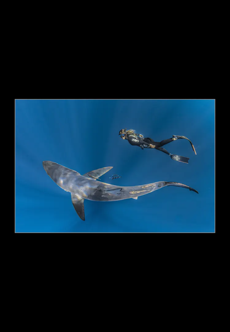 Shark-And-Girl.webp Shark and girl - Imagen 1