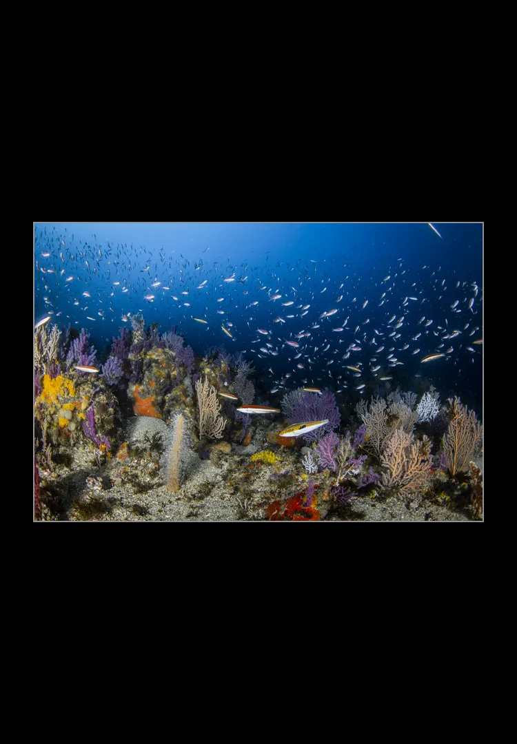 Strait-Of-Gibraltar-Landscapes.webp Strait Of Gibraltar landscapes - Imagen 1
